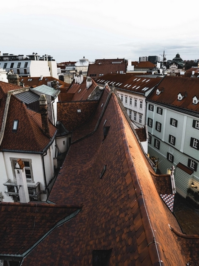 Wie behandelt man Schimmel auf dem Dach?